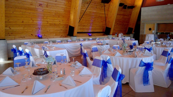 Party Catering Metro Detroit | Kosch Catering - wedding-callout